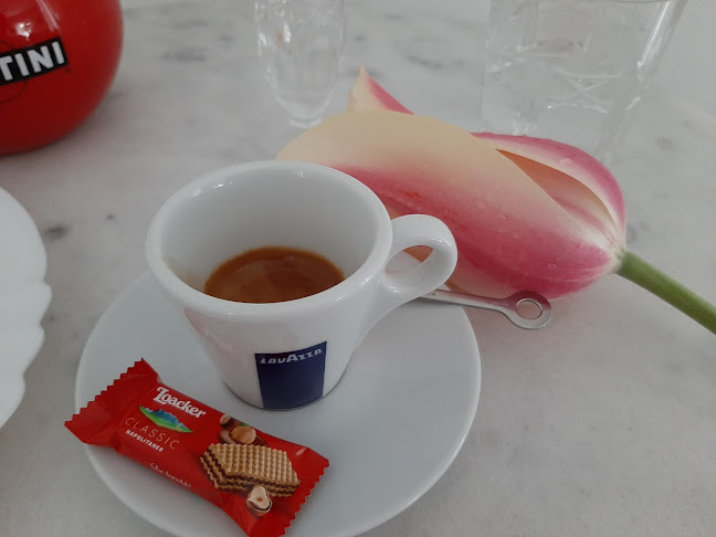 BAR GABRIELA GABRIJELA VIVIAN JENKO S.P.