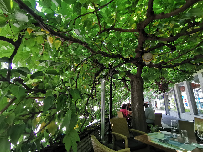 Kavarna in restavracija Pecivo - Nova Gorica