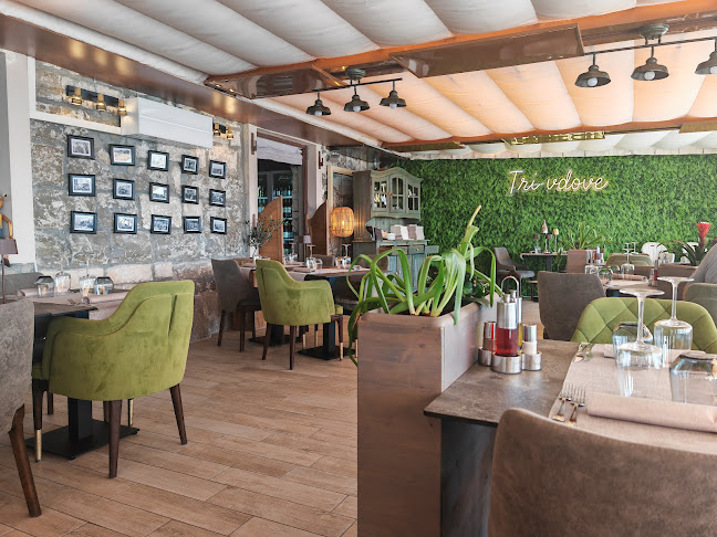 Comentarii opinii despre Restavracija Tri Vdove Piran