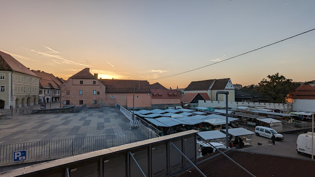 Gostilna Zlati Lev - Gastronomija in gostinstvo