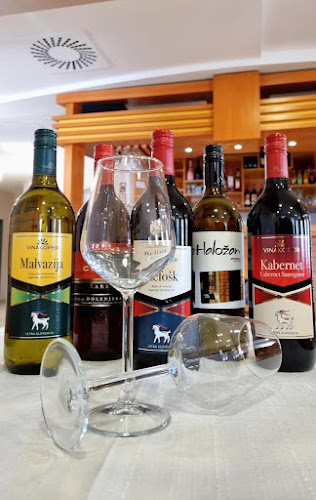 Opinii despre Okrepčevalnica Sam în Radomlje - Gastronomija in gostinstvo