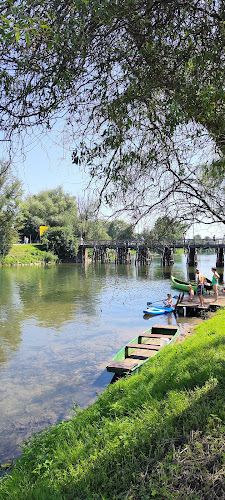 Štraus - Gastronomija in gostinstvo