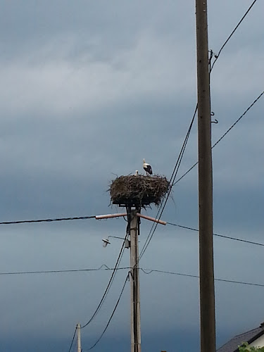 Pekarna Omar Marija Omar S.P. - Gastronomija in gostinstvo