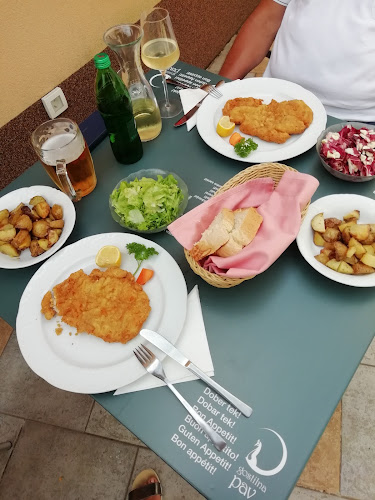 Opinii despre Gostilna Pav în Rakek - Gastronomija in gostinstvo