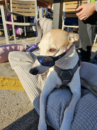 Okrepčevalnica Morski val, Aleksandra Đerđaj, s.p.