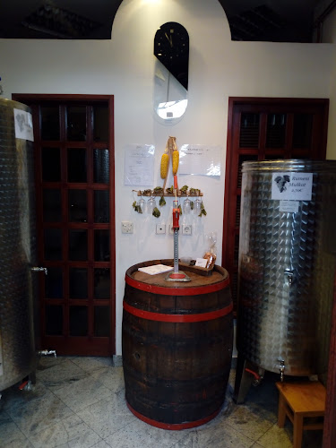 Opinii despre Vinotoč Celje - Vinska klet Koron în Celje - Gastronomija in gostinstvo