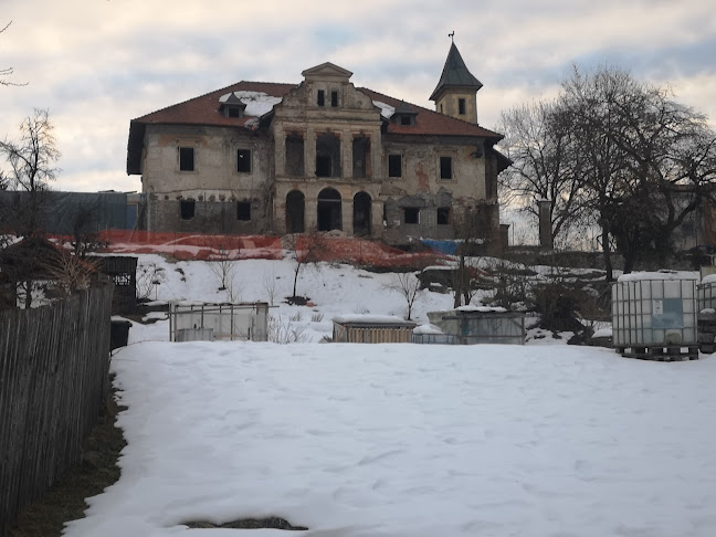 Flek bar - Gastronomija in gostinstvo