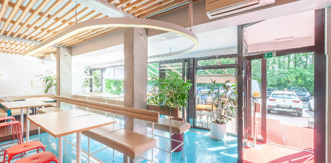 Comentarii opinii despre Trappa