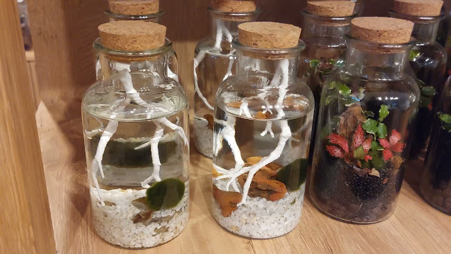 Trgovina v zapiranju