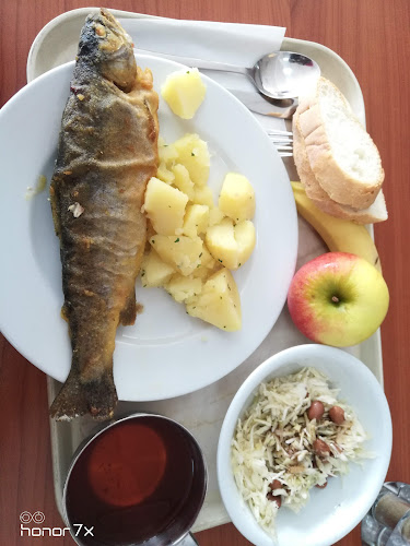 Gostilna Sklednik, Sklednik d.o.o. - Žiri