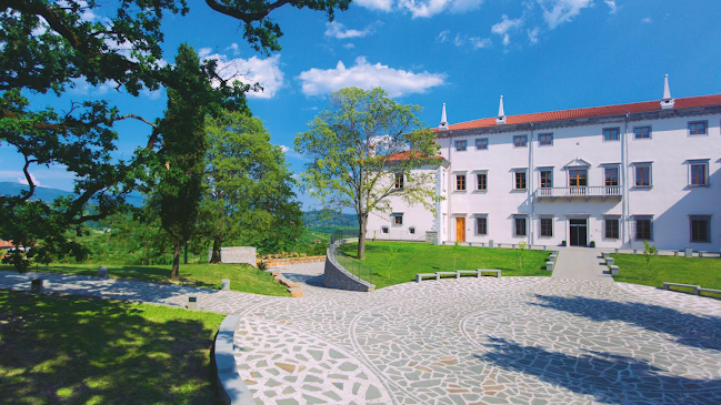 Comentarii opinii despre Kruh in Vino