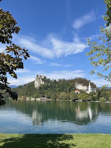Market by the Lake - Gastronomija in gostinstvo