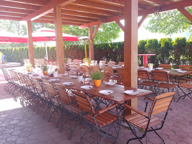 Comentarii opinii despre Gostilna s Pizzerijo Pri Peku