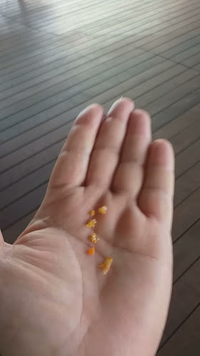 Imperio Mexicano - Gastronomija in gostinstvo