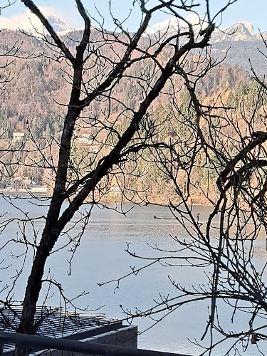 Opinii despre Pizzeria Gallus în Bled - Gastronomija in gostinstvo