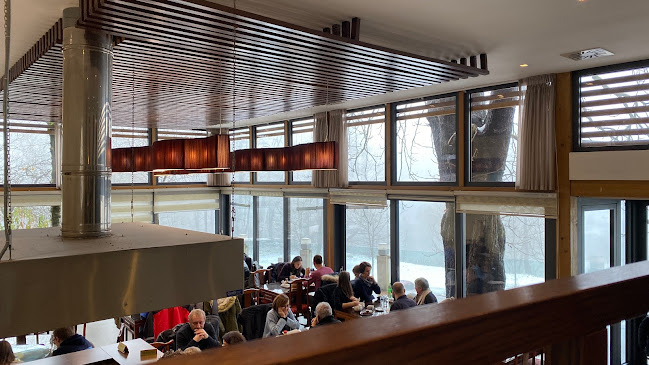 Azijska Restavracija 'Veliki Hong Kong' - Gastronomija in gostinstvo