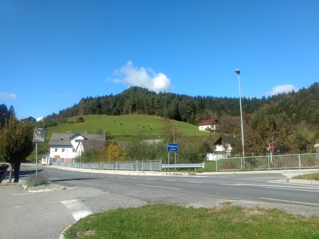 Srednji Dolič 1, 2382 Mislinja