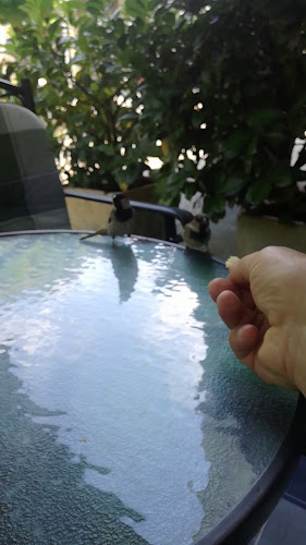 TOČKA 213 - Ljubljana