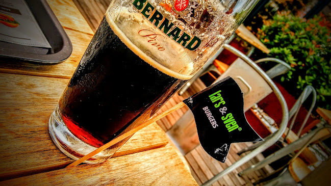 Comentarii opinii despre Lars&Sven burgers Lj-Rudnik