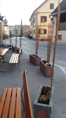 Opinii despre BAZA BAR în Vrhnika - Gastronomija in gostinstvo