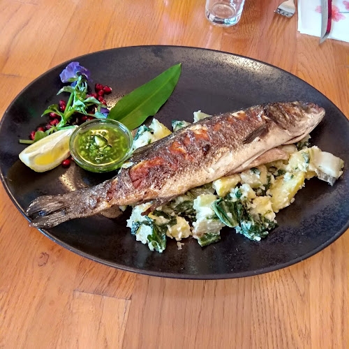 Morski Konjicek - Pivka