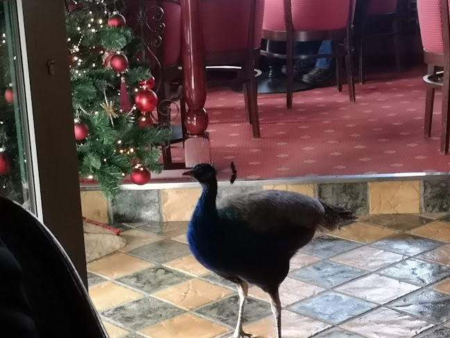 Kavarnica Flet - Gastronomija in gostinstvo