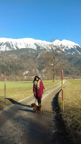 Opinii despre Top Unimat, Ognjevarni materiali, d.o.o. Jesenice în Blejska Dobrava - Gastronomija in gostinstvo