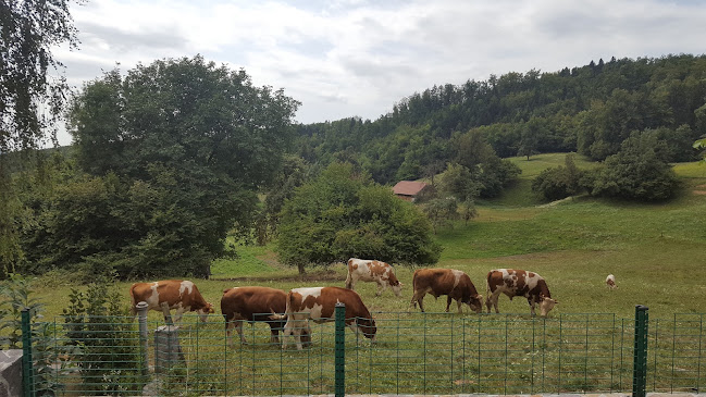 Comentarii opinii despre Gostilna Ručigaj