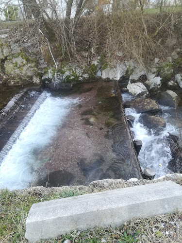 Mesarstvo Oblak, Proizvodnja, Trgovina In Storitve, D.O.O. - Gastronomija in gostinstvo