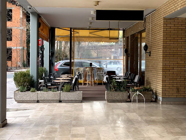 Comentarii opinii despre Bruno Bar