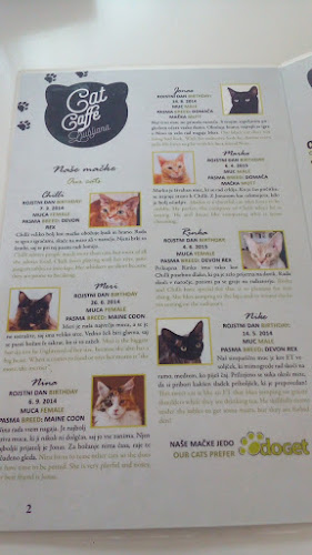 Opinii despre Cat Caffe Ljubljana în Ljubljana - Gastronomija in gostinstvo