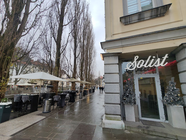 Opinii despre Solist în Ljubljana - Gastronomija in gostinstvo