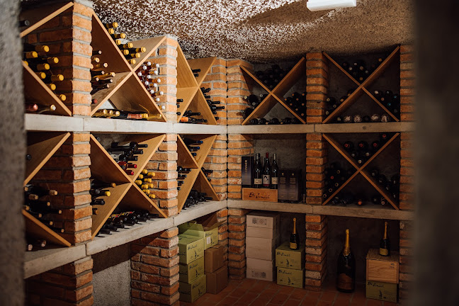 Comentarii opinii despre OPA Resort