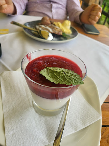 Opinii despre Gostilna in picerija Šentpeter în Otočec - Gastronomija in gostinstvo