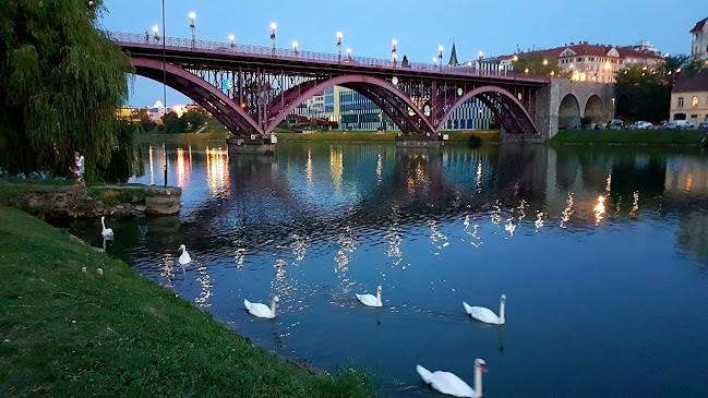 Židovska ulica 2b, 2000 Maribor