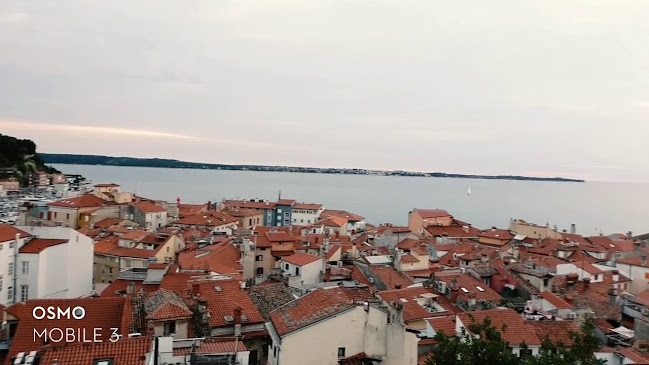 Gostilna Mario - Gastronomija in gostinstvo