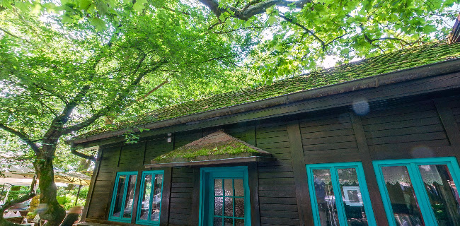 Gostilna Čad - Gastronomija in gostinstvo