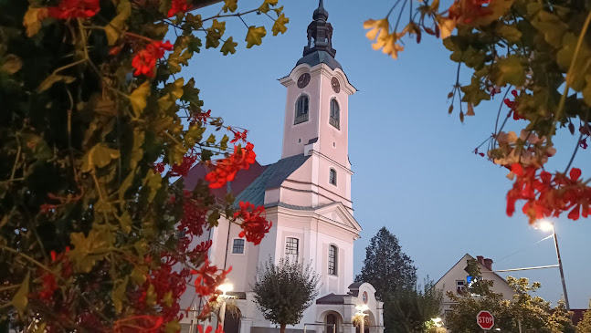 Bar Kern Bar Z Gostinskim Vrtom Kern Matilda S.P. - Gastronomija in gostinstvo