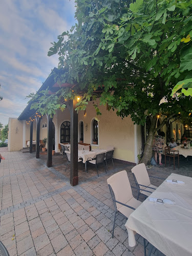 Comentarii opinii despre Gostilnica Mandrija