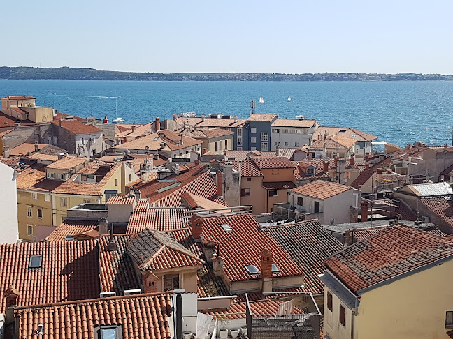 Comentarii opinii despre Spužva Beach Bar