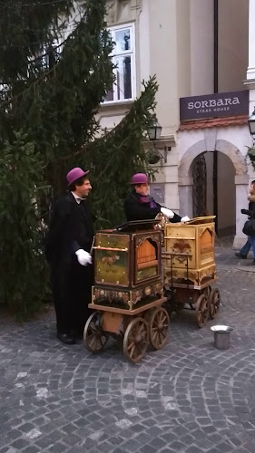 Stari trg 21, 1000 Ljubljana