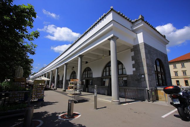 Comentarii opinii despre Javornik Arkade