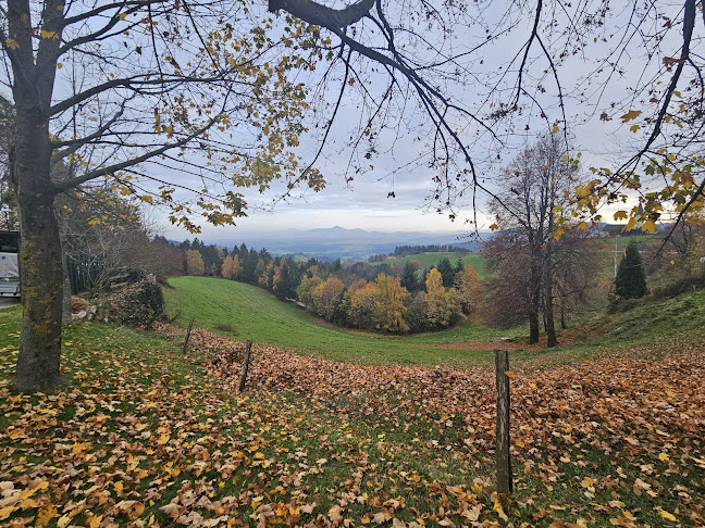 Comentarii opinii despre Guesthouse Smogavc