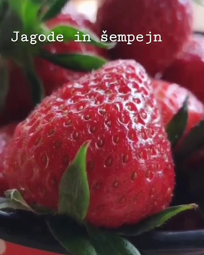 Spletna enoteka Mozirje SiSQSpirits