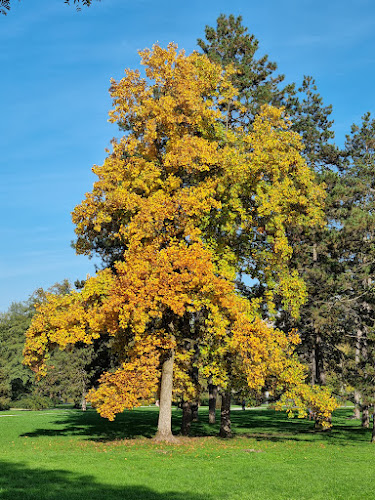 Cankarjev Vrh 1, 1000 Ljubljana