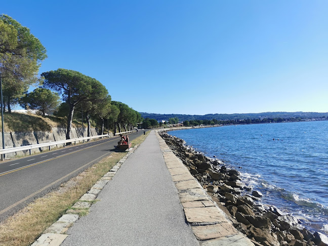 Olicom trgovina, proizvodnja in storitve d.o.o. Koper, podružnica Neptun Izola, Polje 21 - Gastronomija in gostinstvo