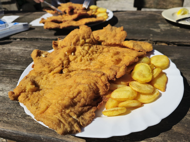 Opinii despre International Piknik Center "Pri Jurju" în Stahovica - Gastronomija in gostinstvo