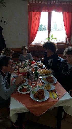 Opinii despre Mesec And Co trgovina, turizem, gostinstvo d.o.o. Zaplana 24, Vrhnika în Vrhnika - Gastronomija in gostinstvo