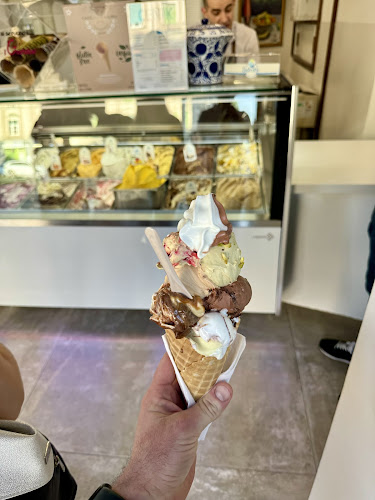 Lastovka pri SERŠ-u - Maribor - Maribor