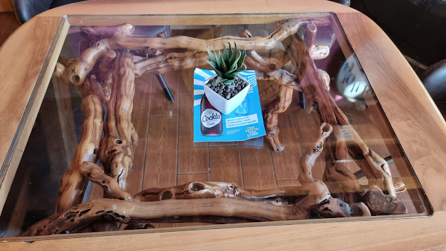 Opinii despre Bar hram Jože Bevec s.p. în Trebnje - Gastronomija in gostinstvo